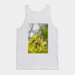 Yellow-rumped Warbler Tank Top